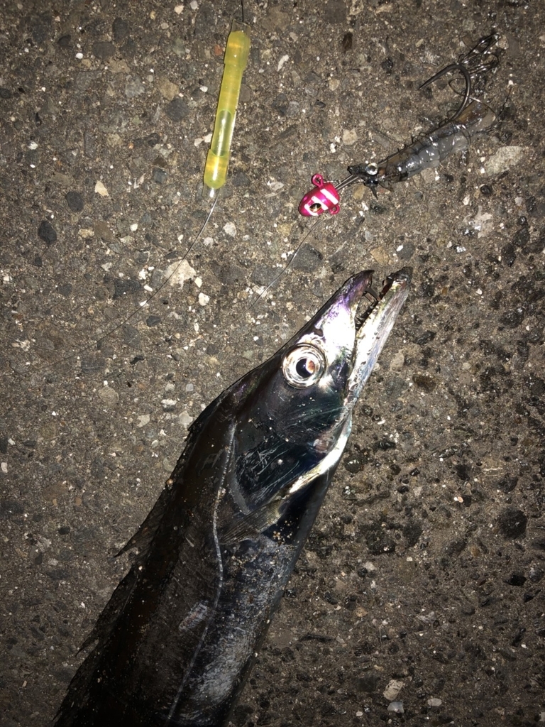 f:id:hiromutter:20181011231947j:plain f:id:hiromutter:20181011231947j:plain