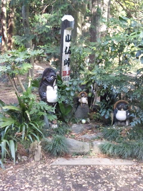 f:id:hironobu35-802:20121115095002j:image f:id:hironobu35-802:20121115095002j:image