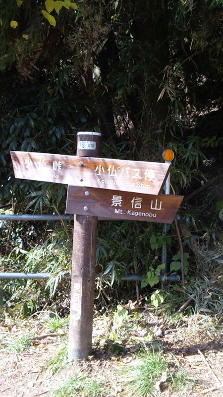 f:id:hironobu35-802:20121115105710j:image f:id:hironobu35-802:20121115105710j:image