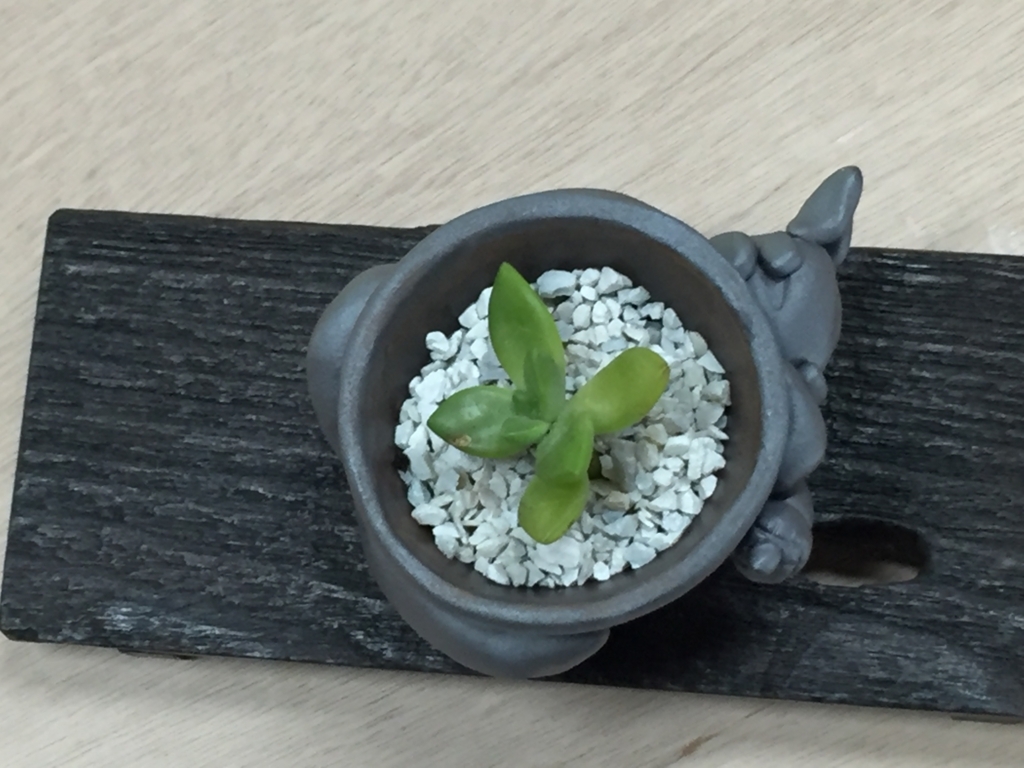 f:id:hiroon2000:20170620183554j:plain