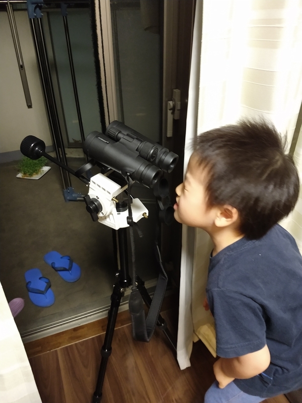 f:id:hiroooo000:20200507194856j:plain f:id:hiroooo000:20200507194856j:plain