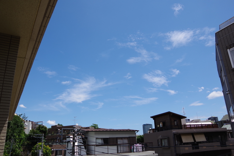 f:id:hiroooo000:20200726115229j:plain f:id:hiroooo000:20200726115229j:plain