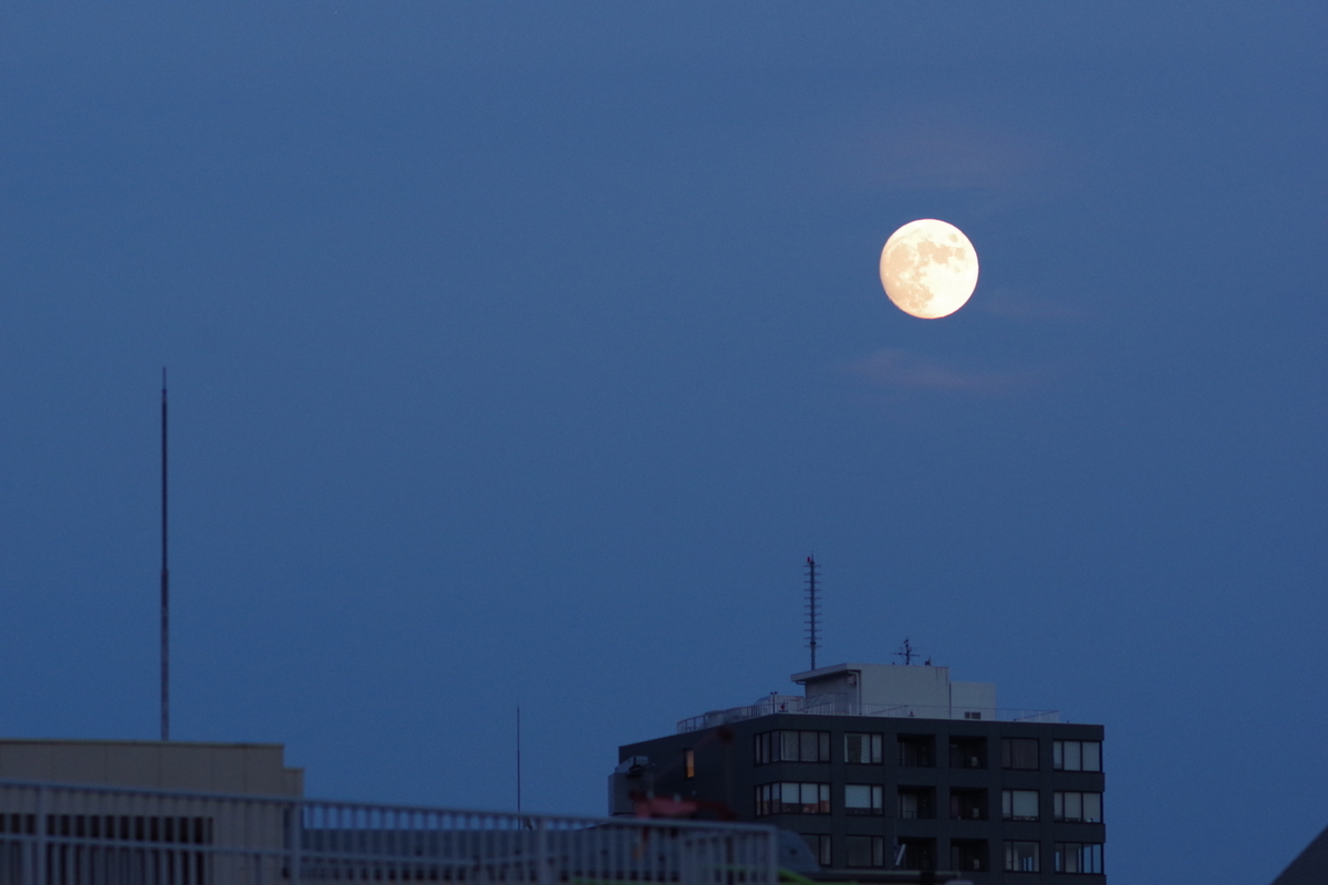f:id:hiroooo000:20200802184859j:plain f:id:hiroooo000:20200802184859j:plain