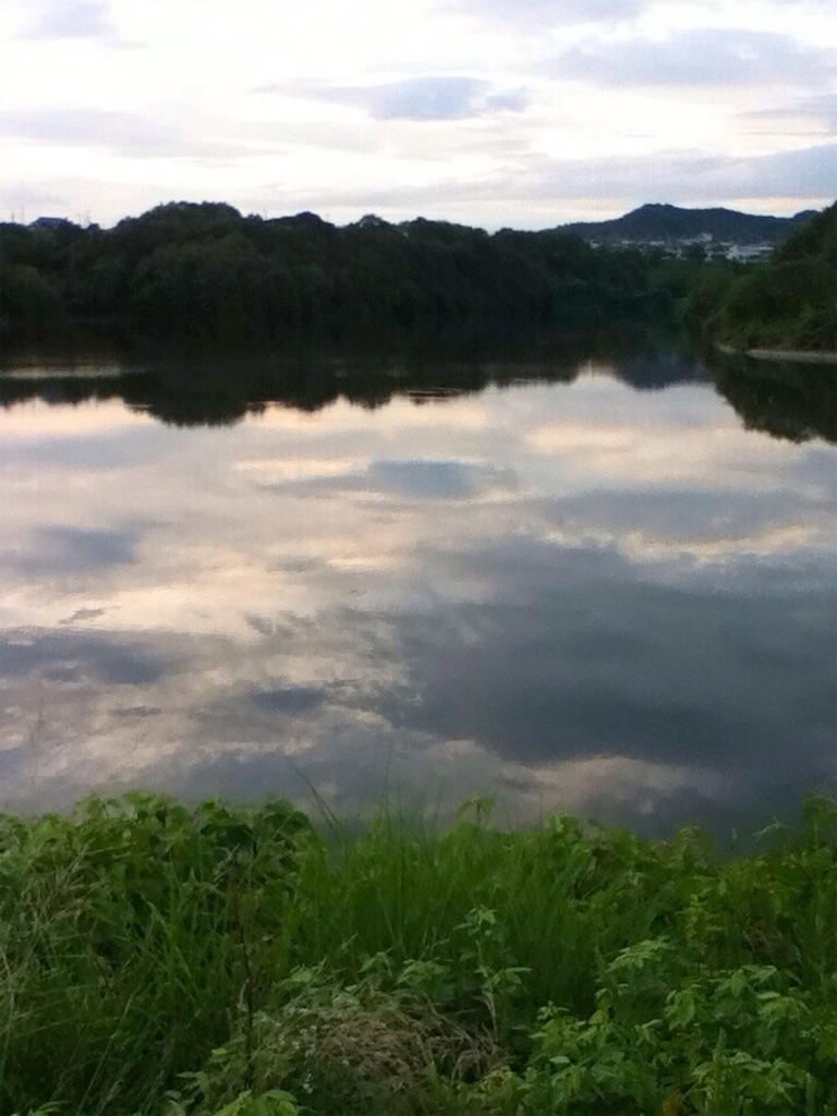 f:id:hiroooofishing:20190324235143j:image f:id:hiroooofishing:20190324235143j:image
