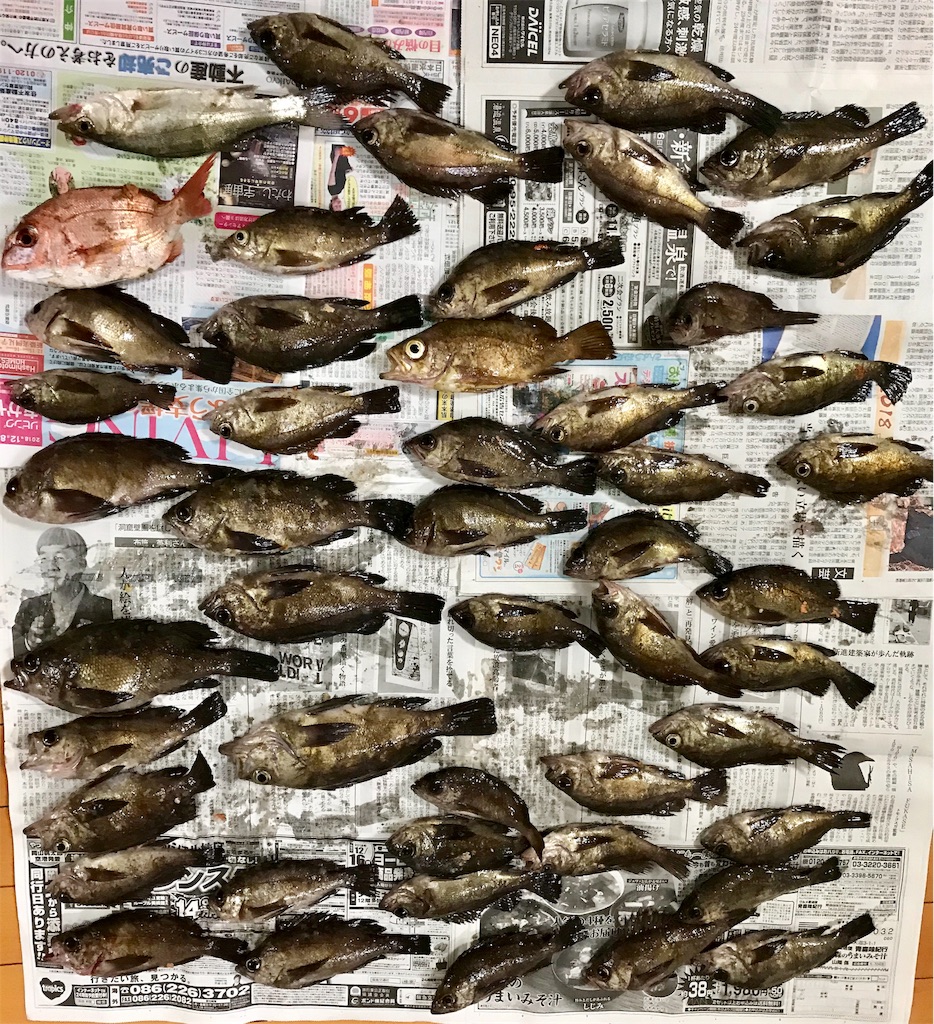 f:id:hiroooofishing:20190401135541j:image