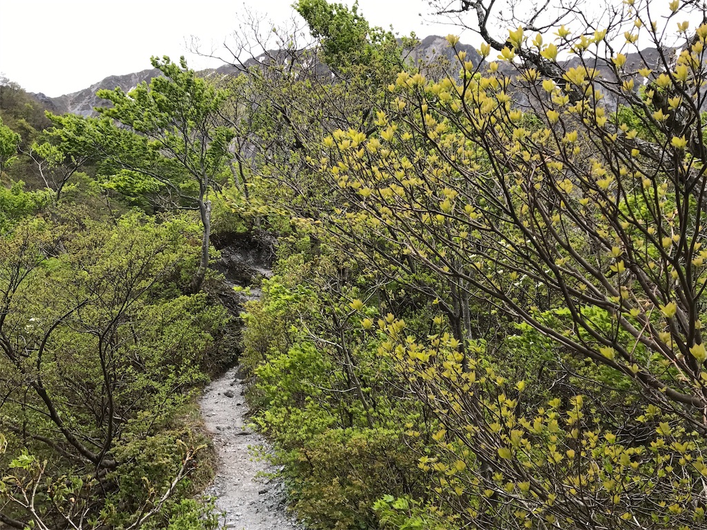 f:id:hiroooofishing:20190404015705j:image