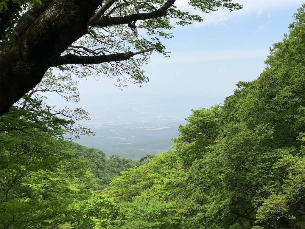 f:id:hiroooofishing:20190404015724j:image