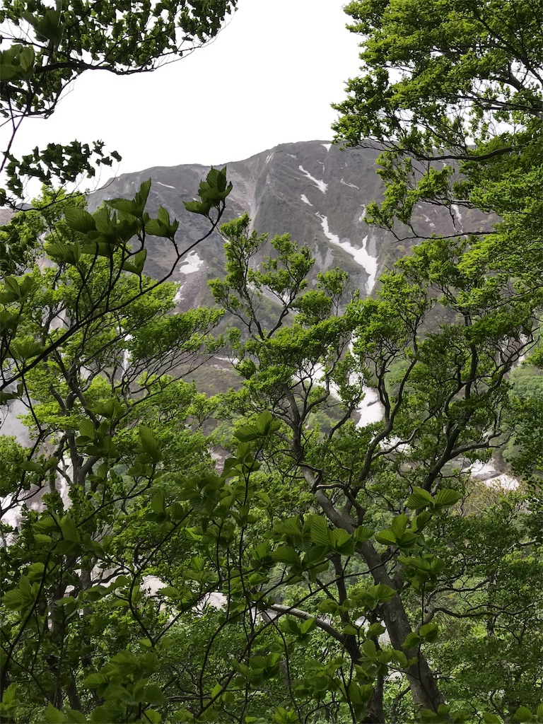 f:id:hiroooofishing:20190404015729j:image