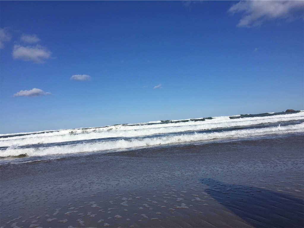 f:id:hiroooofishing:20190413005247j:image f:id:hiroooofishing:20190413005247j:image