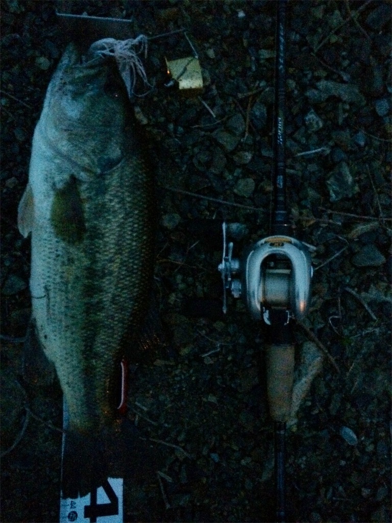 f:id:hiroooofishing:20190413005807j:image f:id:hiroooofishing:20190413005807j:image