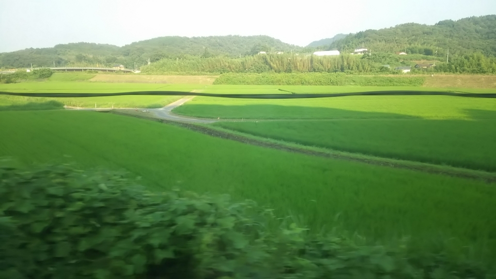f:id:hiroponkun:20170725001414j:plain