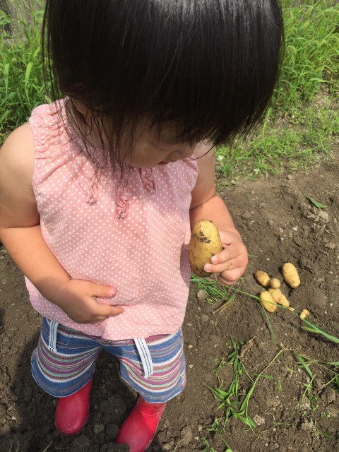 f:id:hiropooon:20160627125350j:plain f:id:hiropooon:20160627125350j:plain