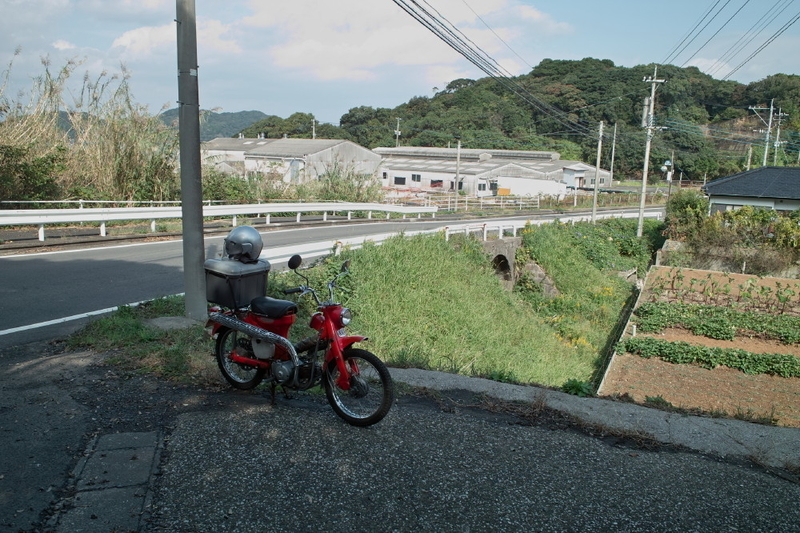 イメージ 7