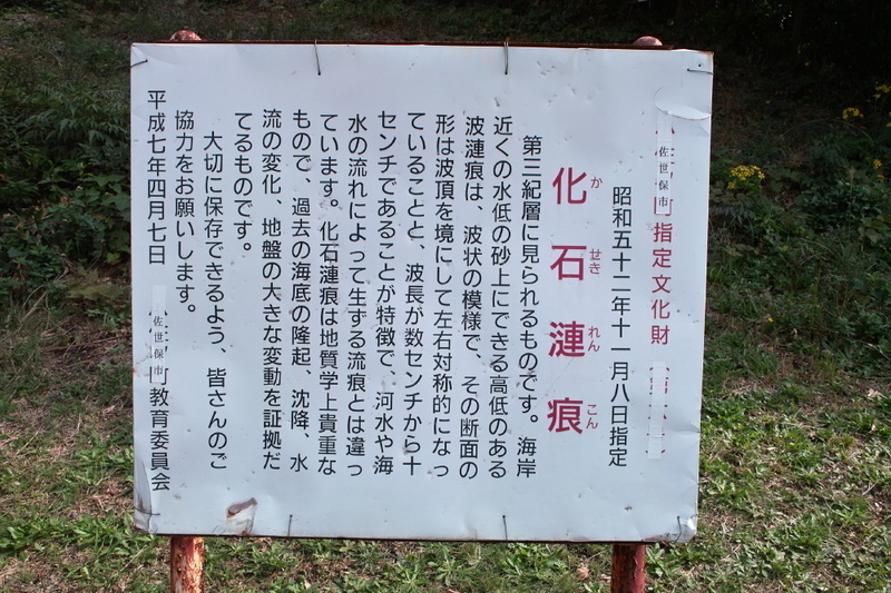 イメージ 9