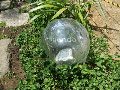 Mondo 自由が丘の隠れ家イタリアン Hiropyna S Blog