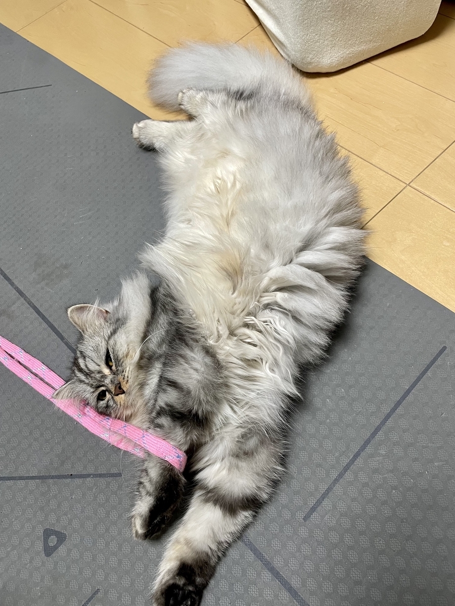 f:id:hiroqn:20211027192039j:plain