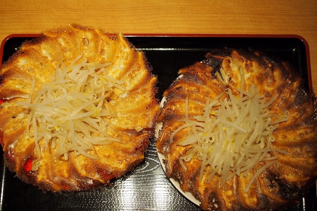 PA285738.jpg