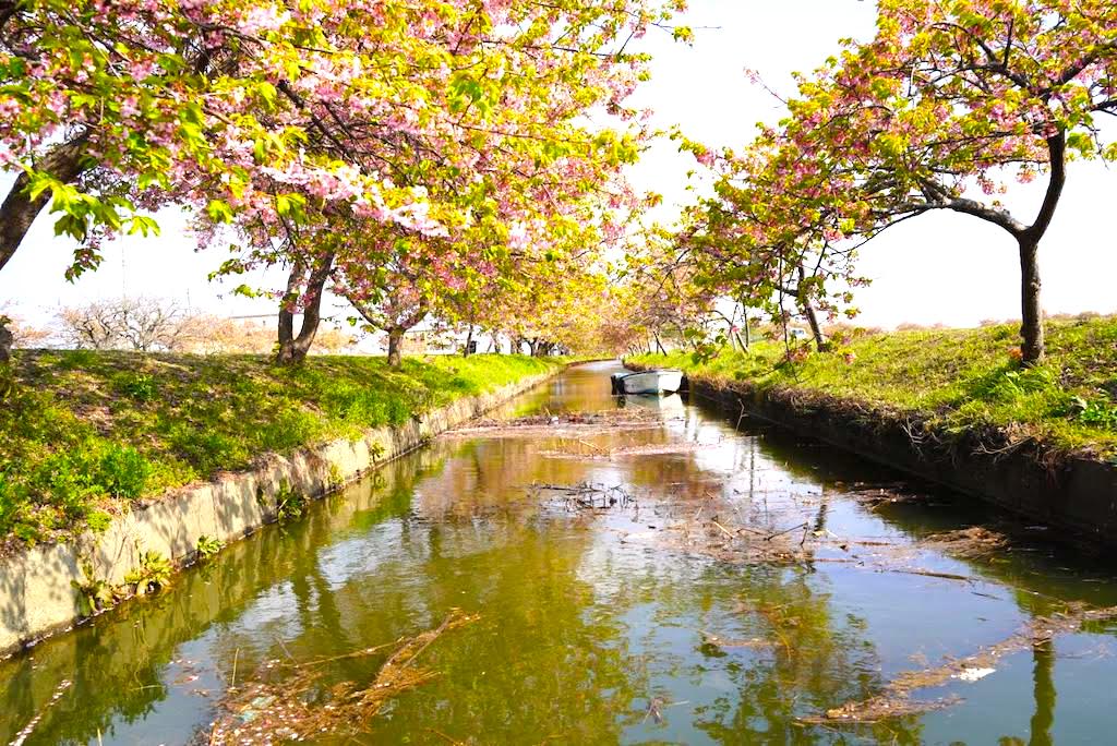 f:id:hiroro-bnr32:20220327180940j:plain
