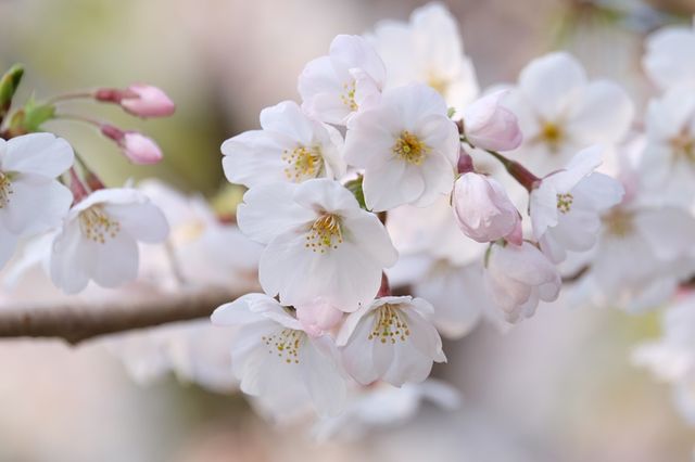 f:id:hiroro5:20150329060017j:image:w800