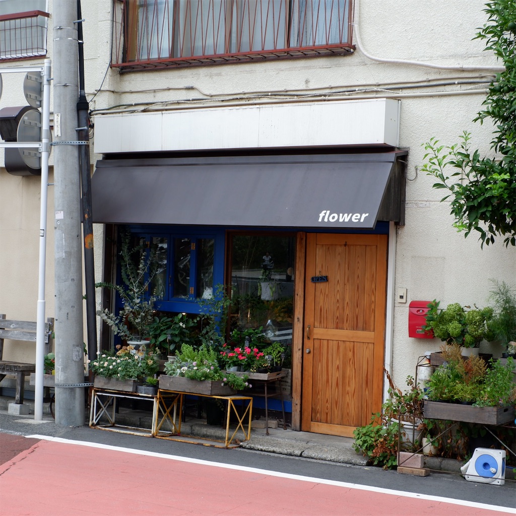 新江古田 Flower Shop Cafe Neco Qavreeno ネコカヴリーノ こじんまり個人カフェ巡りの記録 穴場カフェが見つかる カフェブログ