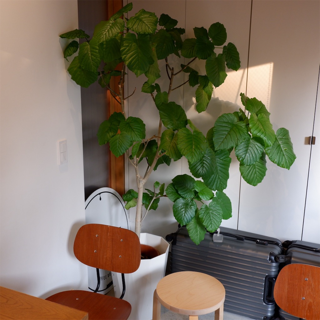 f:id:hirorocafe0106:20191031223225j:image f:id:hirorocafe0106:20191031223225j:image