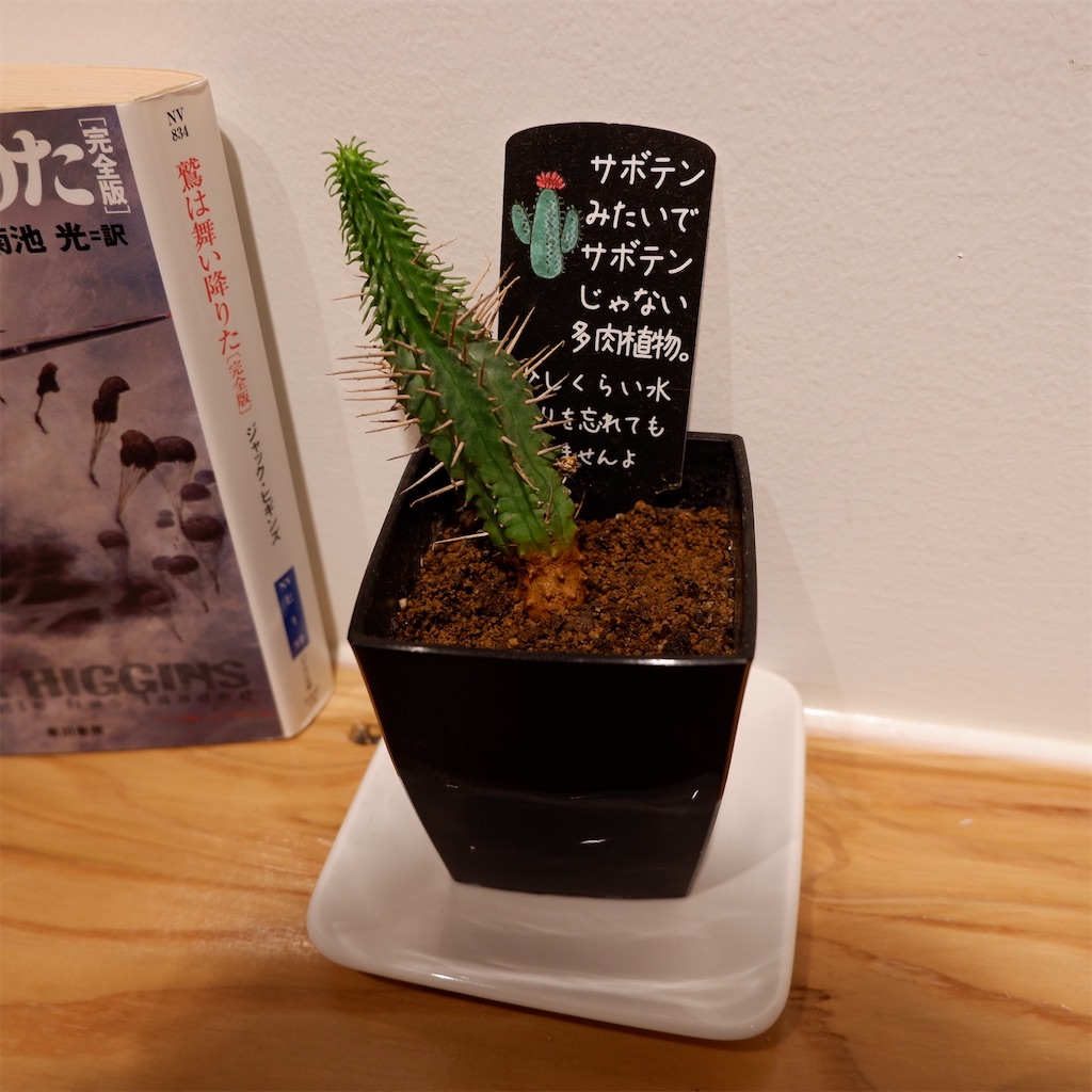 f:id:hirorocafe0106:20210207231529j:image f:id:hirorocafe0106:20210207231529j:image