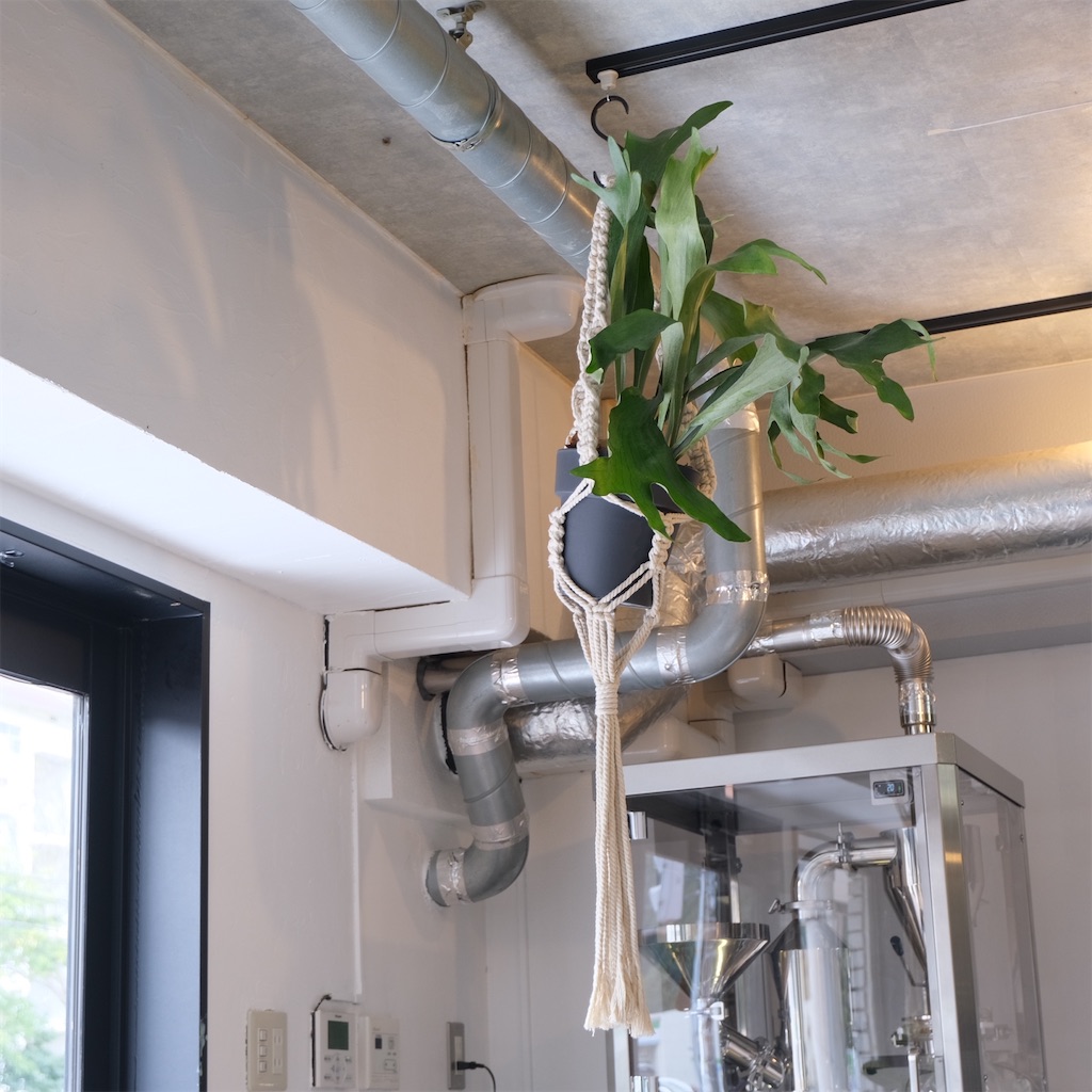 f:id:hirorocafe0106:20210322201150j:image f:id:hirorocafe0106:20210322201150j:image