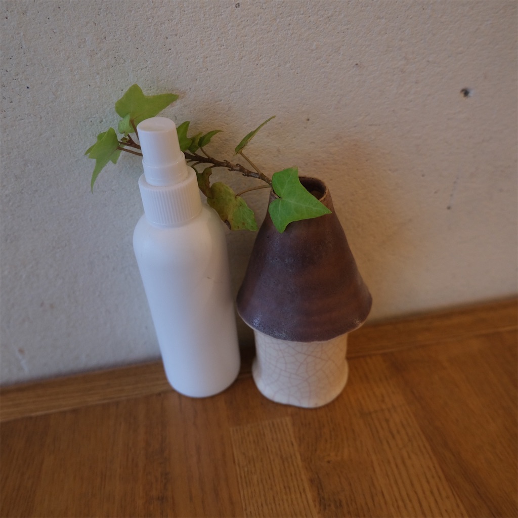 f:id:hirorocafe0106:20211207213908j:image f:id:hirorocafe0106:20211207213908j:image