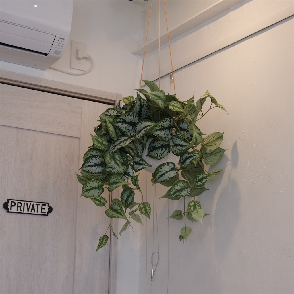 f:id:hirorocafe0106:20220603162619j:image f:id:hirorocafe0106:20220603162619j:image