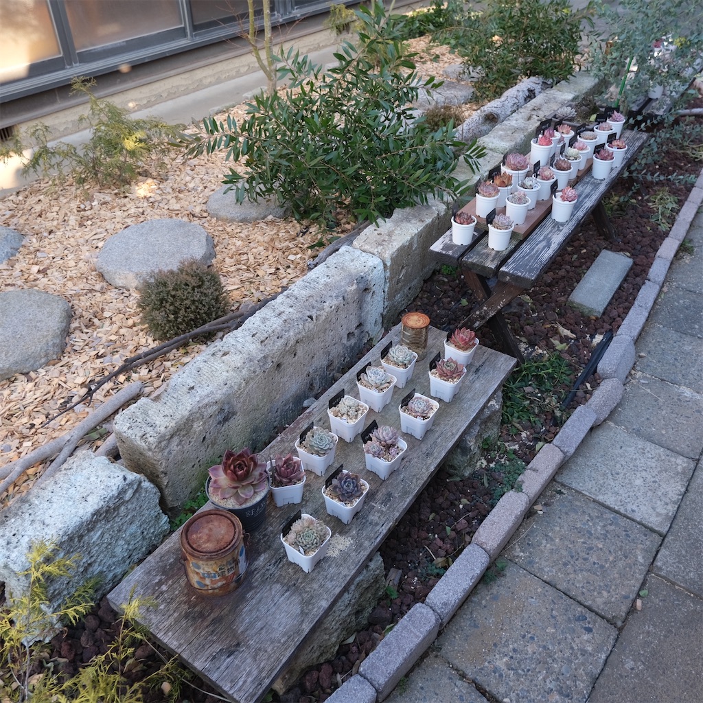 f:id:hirorocafe0106:20230217101233j:image f:id:hirorocafe0106:20230217101233j:image