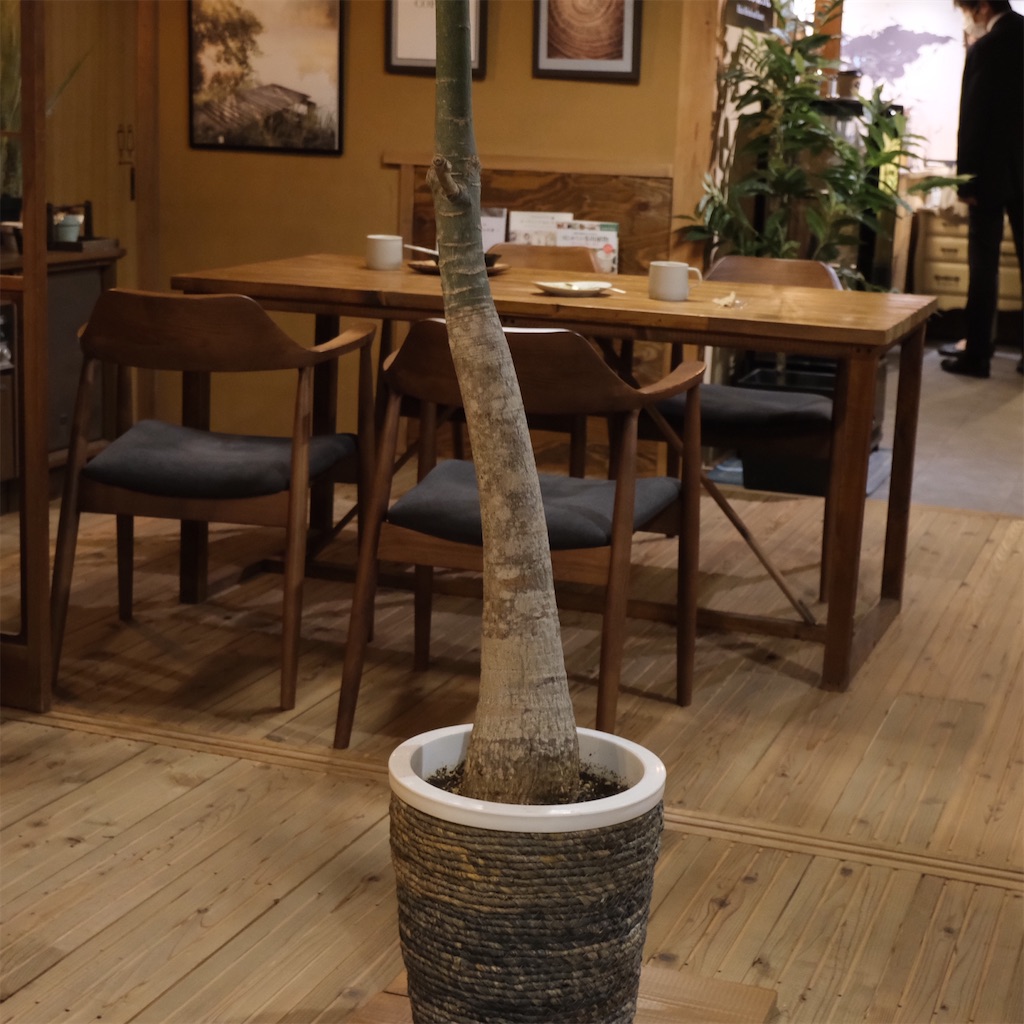 f:id:hirorocafe0106:20230217101444j:image f:id:hirorocafe0106:20230217101444j:image