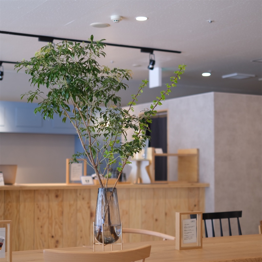 f:id:hirorocafe0106:20230413220938j:image f:id:hirorocafe0106:20230413220938j:image