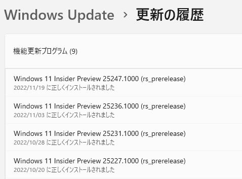 Windows 11 Insider Preview Dev チャンネルに Build 25247 が配信されてきました。 - 私のPC自作部屋