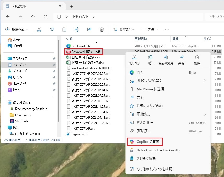 外観気にしない方どうですか？win11 ワードエクセル2019付 Windows10 エクスプローラの検索窓に履歴がまったく出ない！に対処