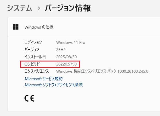 Windows11 バージョン 25H2 Dev チャンネルに累積更新(KB5065779