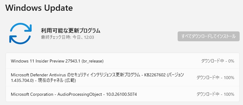 Windows11 Canary チャンネルに Build 27943.1 が配信されてきました