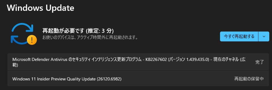 Windows 11 バージョン 24H2 Beta チャンネルに Build 26120.6982 が