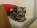 阿猫地攤(Cat Store), #0433