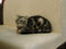 阿猫地攤(Cat Store), #0450