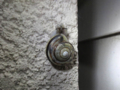 Snail, #6627