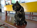 Cats of Houtong, #2352