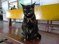 Cats of Houtong, #2353