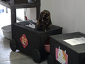 Cats of Houtong, #2365