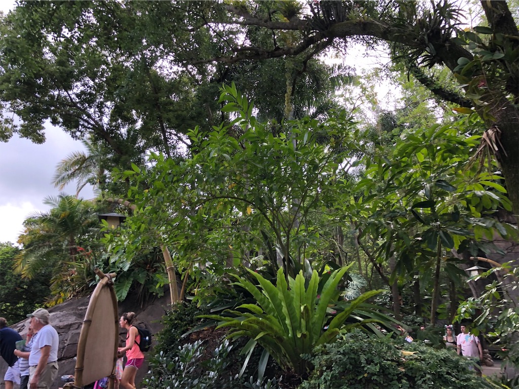 f:id:hiroseki:20190629135510j:image