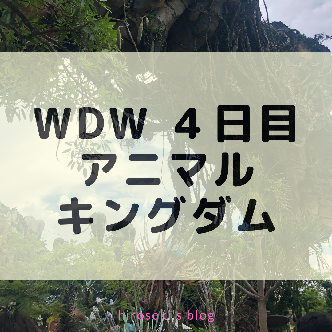 f:id:hiroseki:20190629162611p:plain