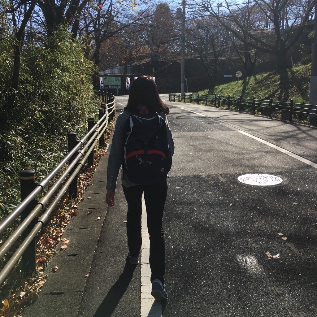 f:id:hiroshi-enzo:20181122062744j:plain f:id:hiroshi-enzo:20181122062744j:plain