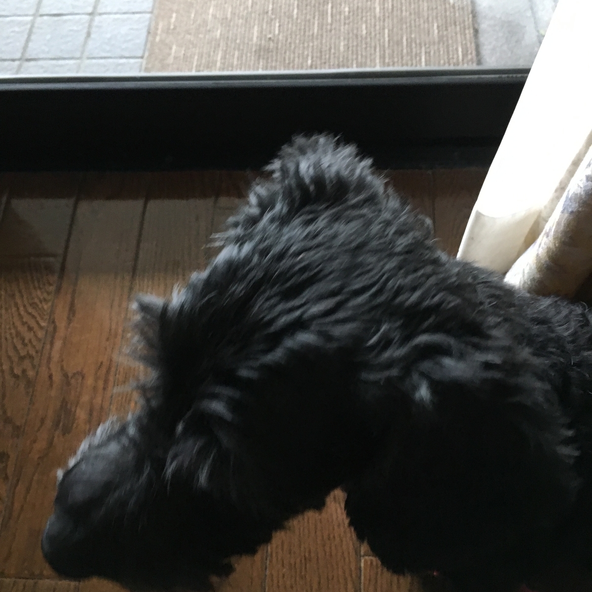 f:id:hiroshi-enzo:20190514072000j:plain f:id:hiroshi-enzo:20190514072000j:plain