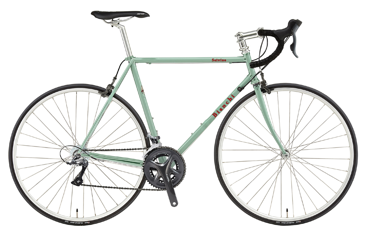 ビアンキ　クロモリ　セルビノ Bianchi(ビアンキ) 2020年モデル SELVINO （セルヴィーノ） Claris