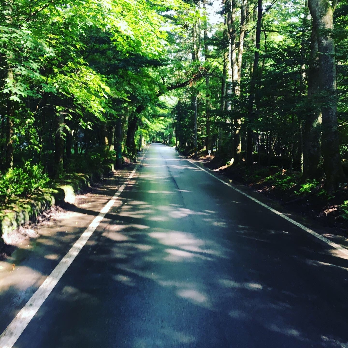 f:id:hiroshi-enzo:20190801073743j:plain f:id:hiroshi-enzo:20190801073743j:plain