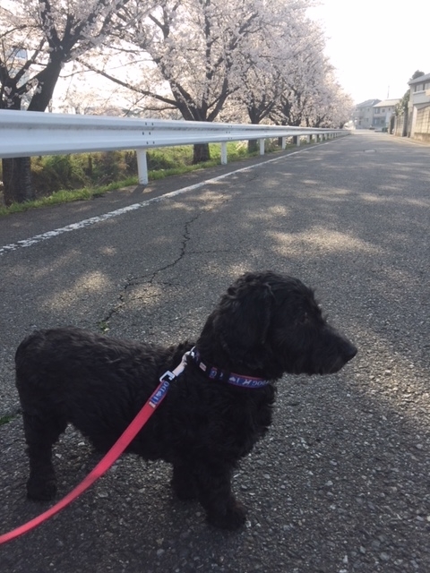 f:id:hiroshi-enzo:20210315083540j:plain